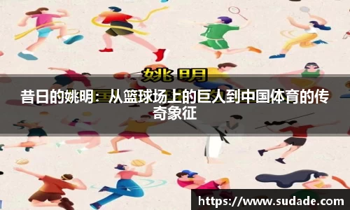 星空·综合体育官方网站