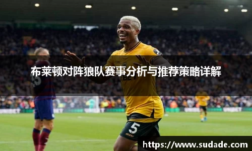 布莱顿对阵狼队赛事分析与推荐策略详解