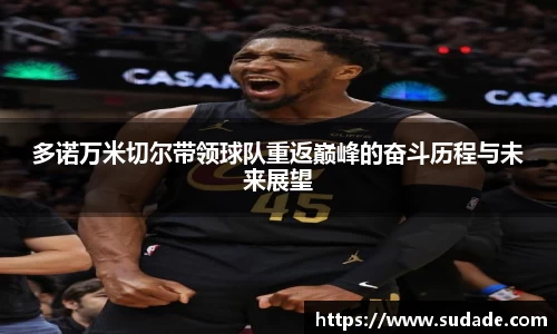 星空·综合体育官方网站