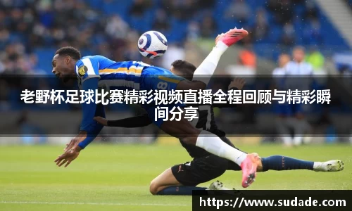 星空·综合体育中国官网
